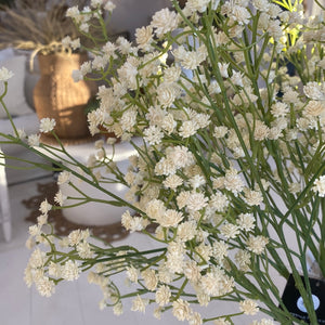Baby's Breath stem