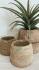 Mana Antique Timber Pot