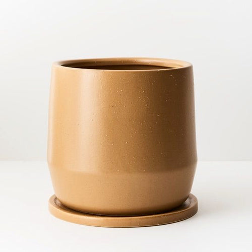 Tuscan Pot