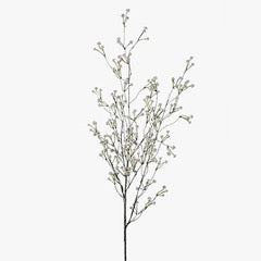 Baby's Breath stem