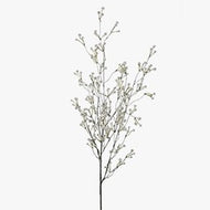 Baby's Breath stem