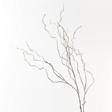 Load image into Gallery viewer, Twig Curly Willow Spray- Grey Wash