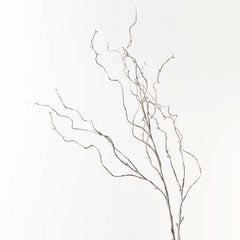 Twig Curly Willow Spray- Grey Wash