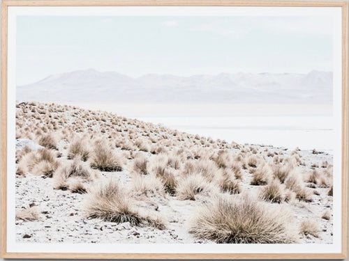 Arid Shores Framed print