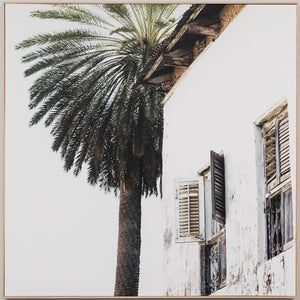 Palm Window Canvas print