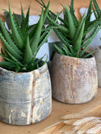Antique timber Pot