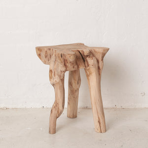 Elif Tree Root Stool